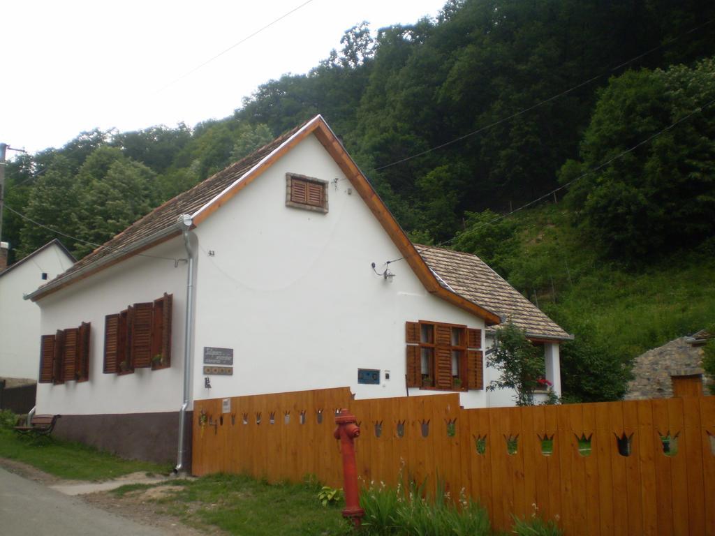 Ferienwohnung Tulipanos Vendeghaz Obanya Exterior foto