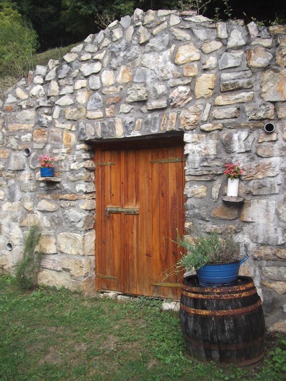 Ferienwohnung Tulipanos Vendeghaz Obanya Exterior foto
