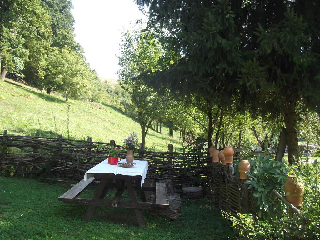 Ferienwohnung Tulipanos Vendeghaz Obanya Exterior foto