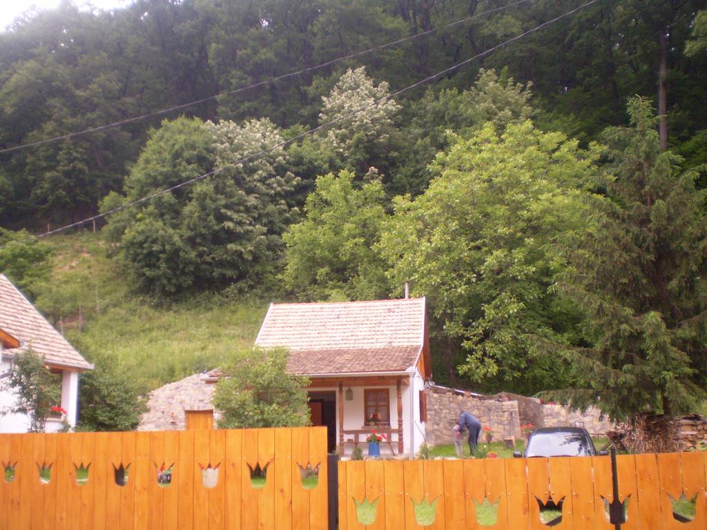 Ferienwohnung Tulipanos Vendeghaz Obanya Exterior foto