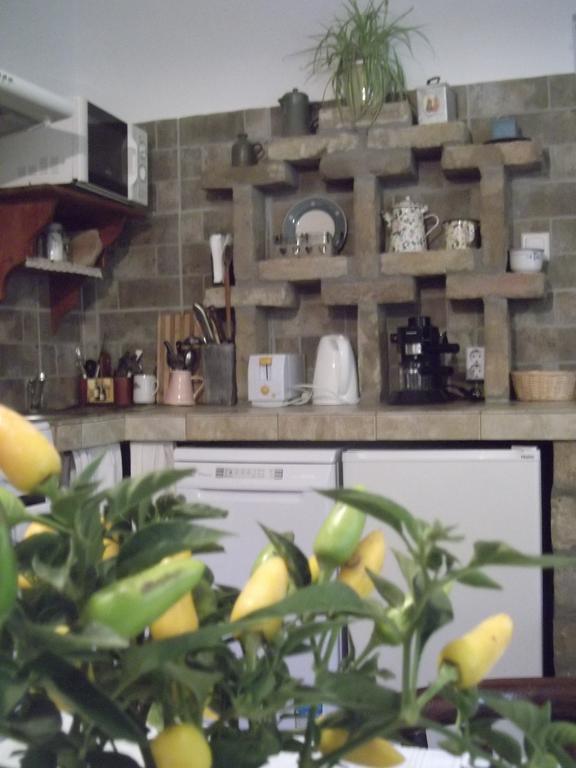 Ferienwohnung Tulipanos Vendeghaz Obanya Exterior foto