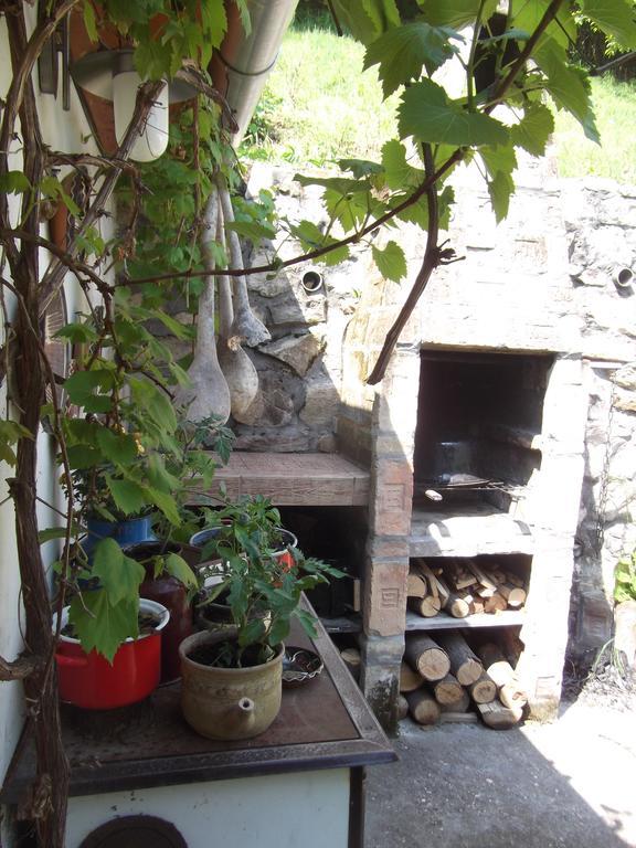 Ferienwohnung Tulipanos Vendeghaz Obanya Exterior foto