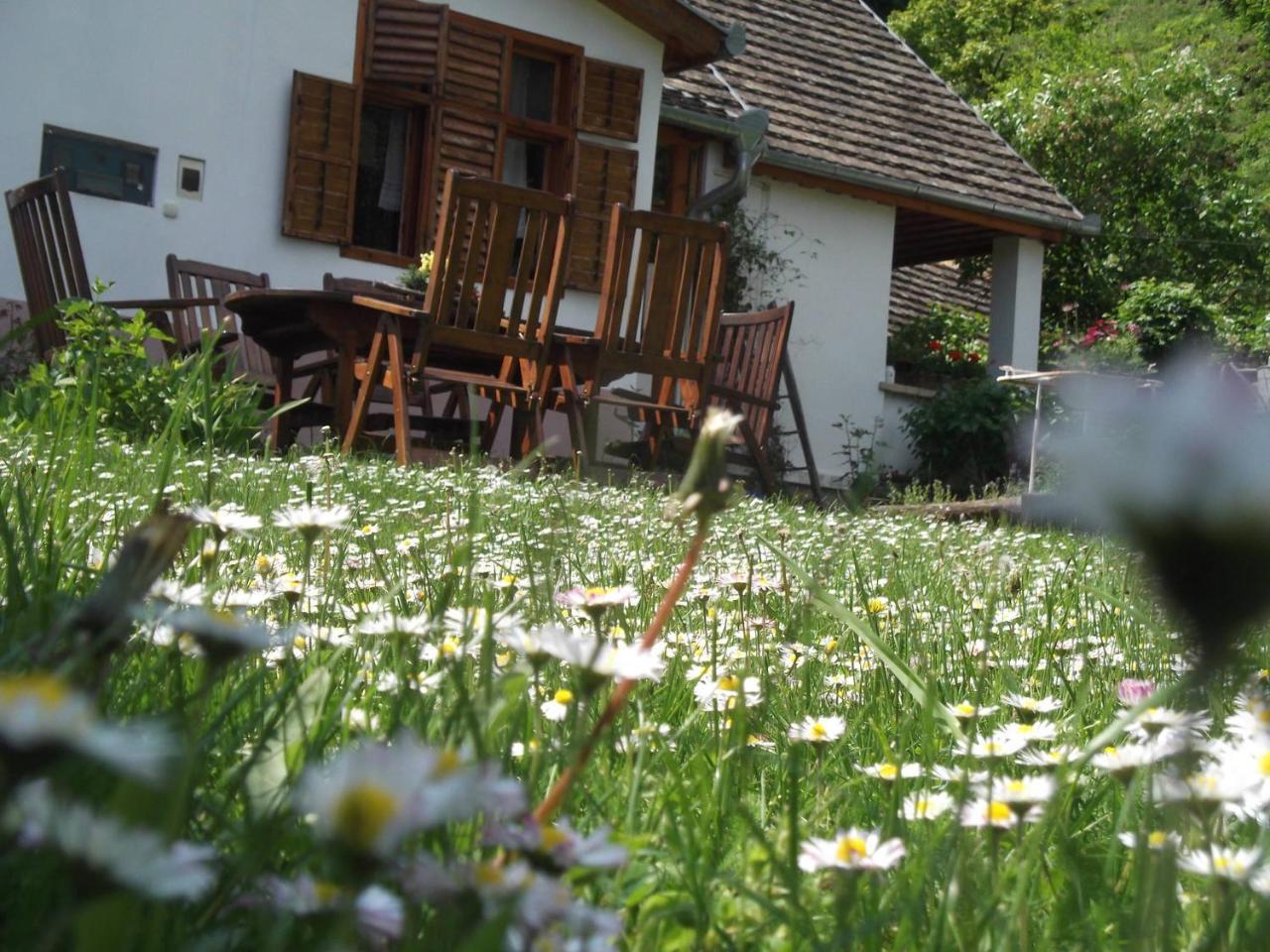 Ferienwohnung Tulipanos Vendeghaz Obanya Exterior foto