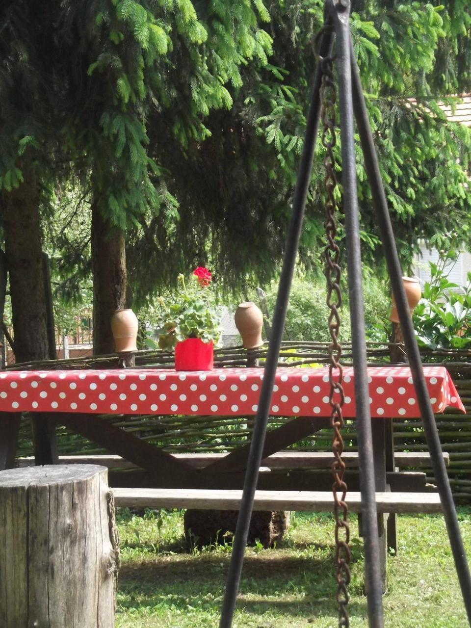 Ferienwohnung Tulipanos Vendeghaz Obanya Exterior foto